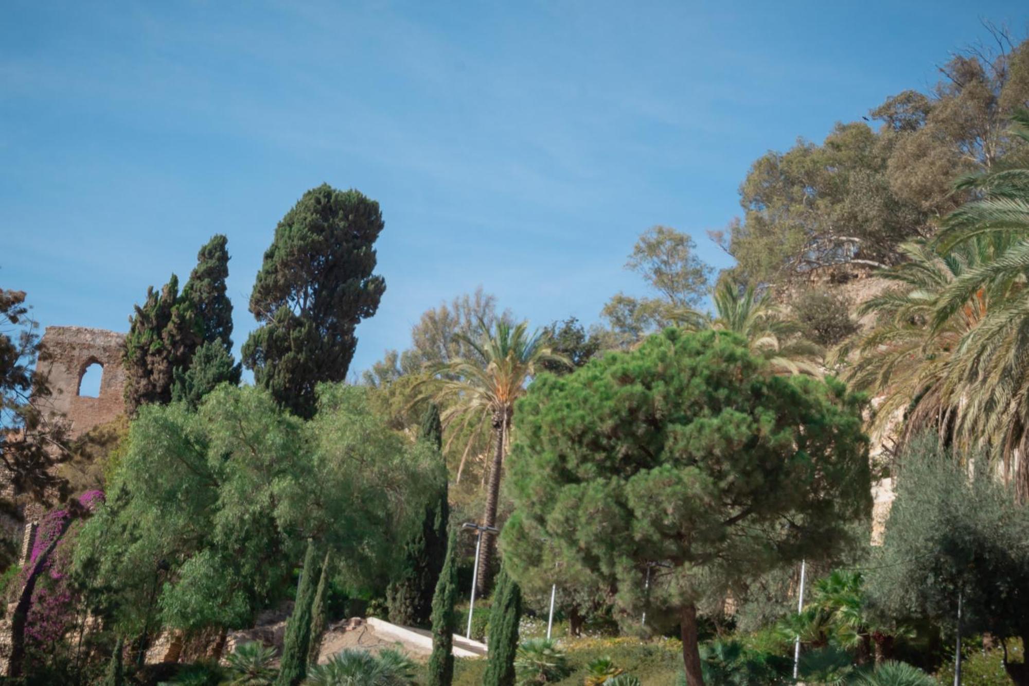 Picasso Premium Apartment Μάλαγα Εξωτερικό φωτογραφία